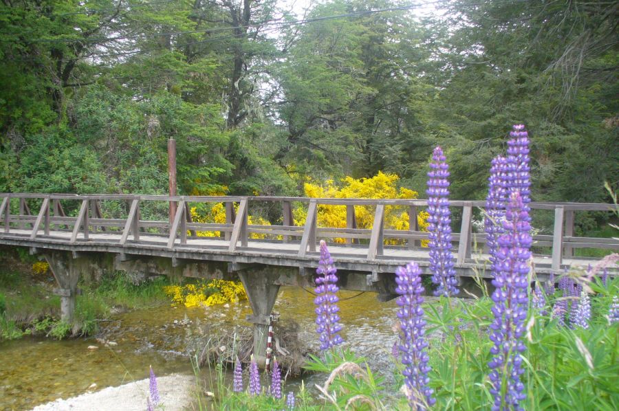 "Puente" de Fer Stefanazzi