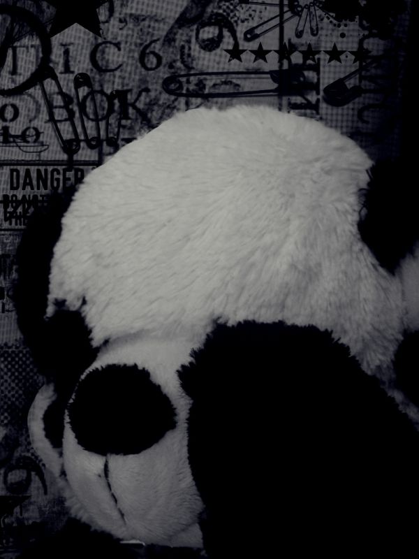 "Panda.." de Yenhy Flores