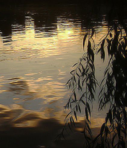 "Reflejos" de Tesi Salado