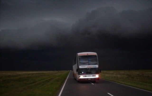 "Huir de la tormenta" de Margarita Pellegrini