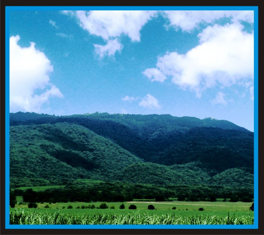 "Cerro S. Javier" de Pillon Juan