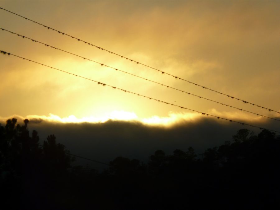 "Amanecer entre nubes, pinares y cables..." de David Marcelo Finzi