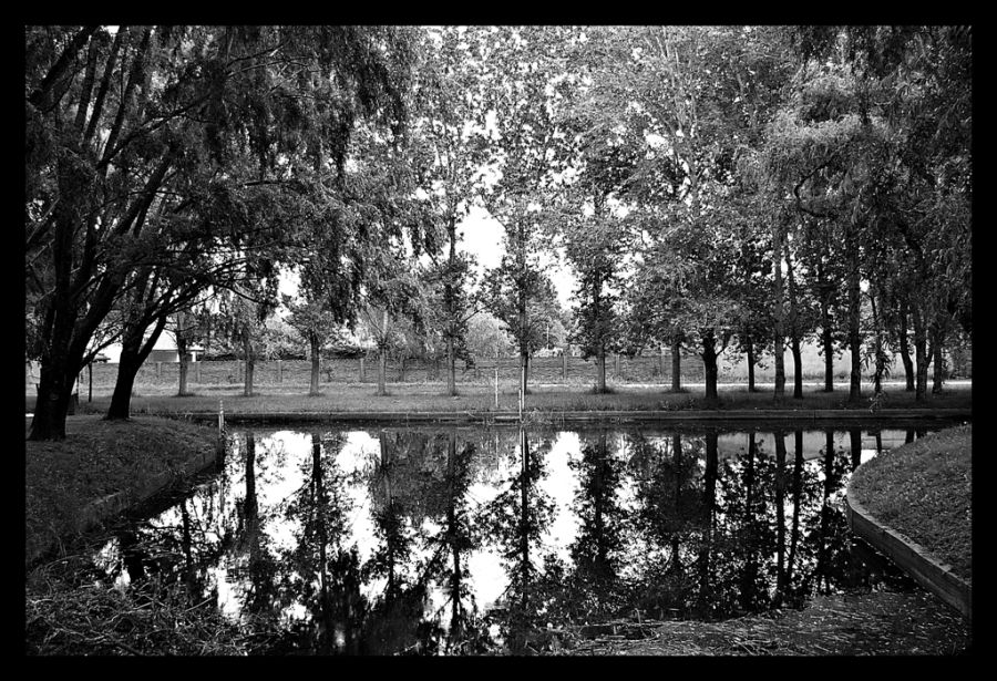 "Reflejos" de Alberto Elizalde