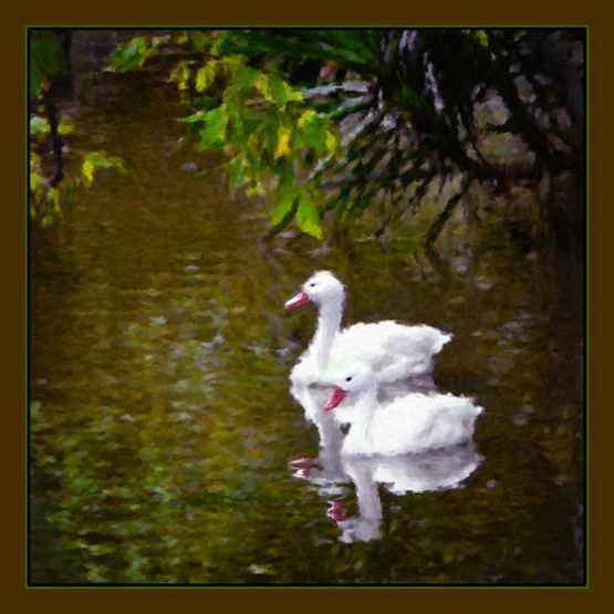 "Dos patitos" de Jose Carlos Kalinski