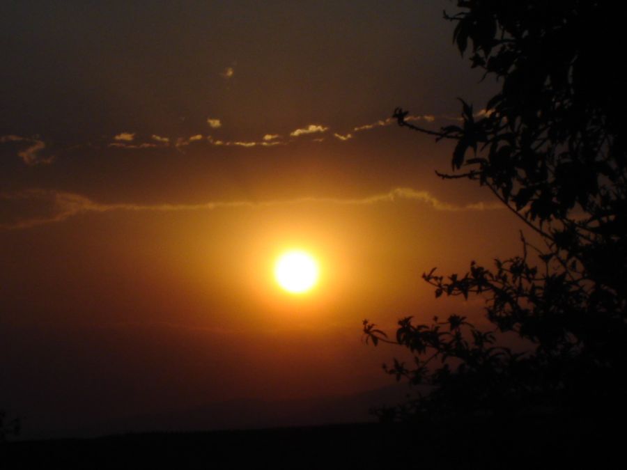 "El ocaso de ayer" de Alma Delia Franco Cacho