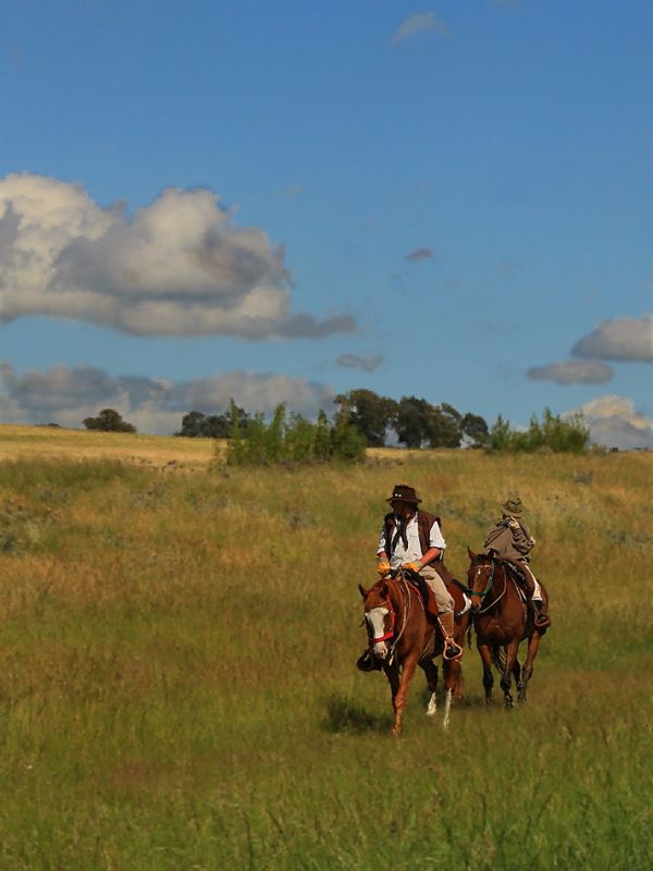 "Cabalgando la 226" de Stella Maris Kippke