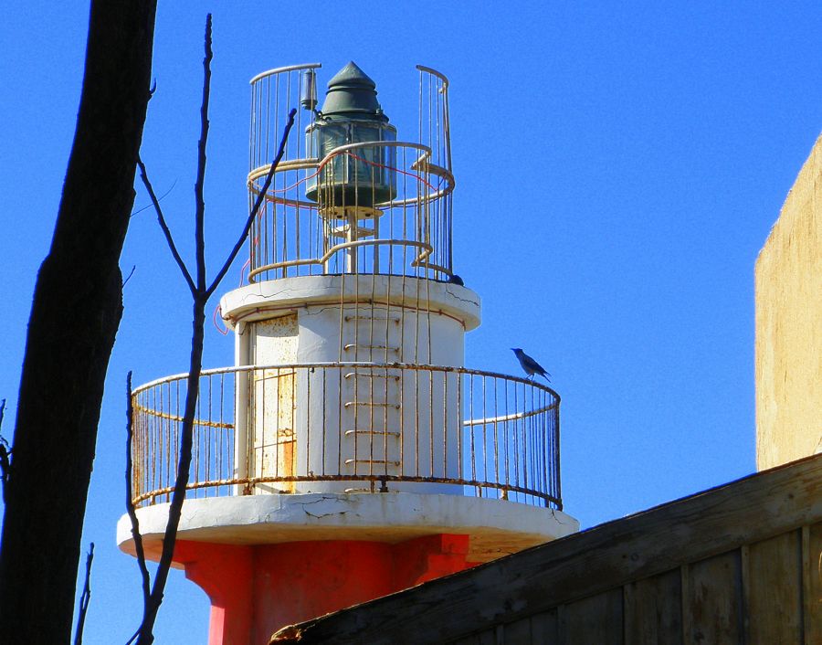 "el viejo faro,recibe visita...." de Tzvi Katz