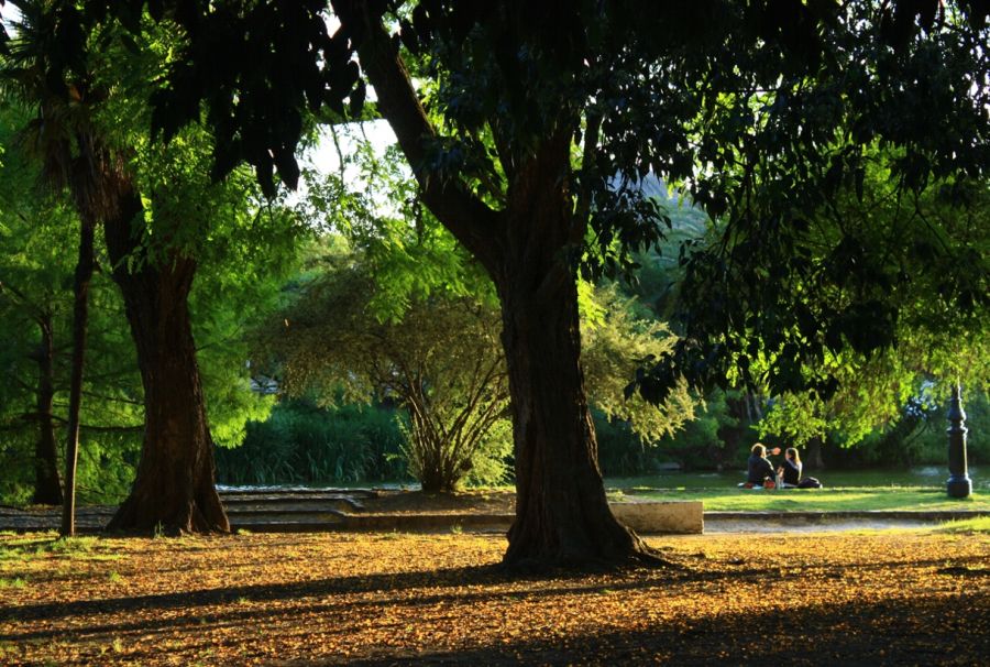 "Picnic" de Carmen Nievas