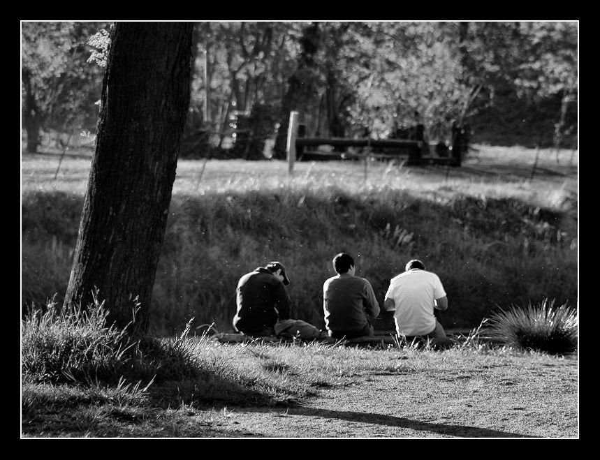 "Tres amigos" de Eli - Elisabet Ferrari