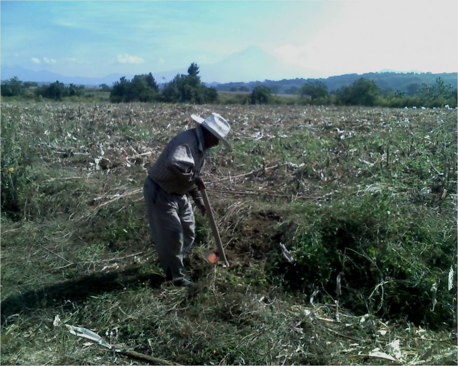 "El campesino" de Alma Delia Franco Cacho