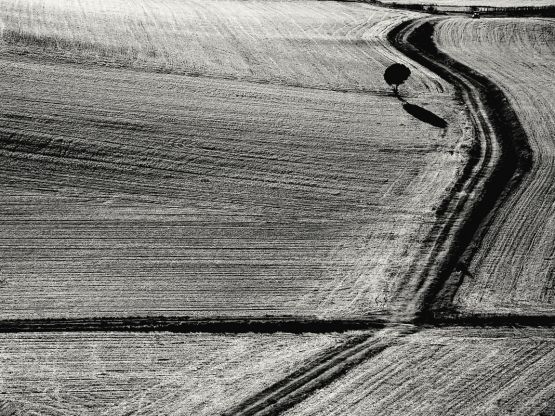 "Campos de Castilla 2" de Jose Moreno Castillo