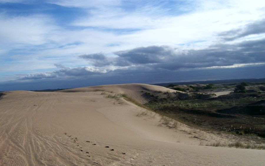 "Medanos V.G" de Ana Rosa Rey