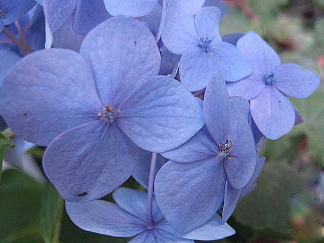 "De color azul" de Mara Griselda Garca Cuerva