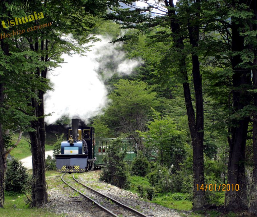 "Tren del Fin del Mundo, Ushuaia, Tierra del Fuego" de Ricardo Pacheco