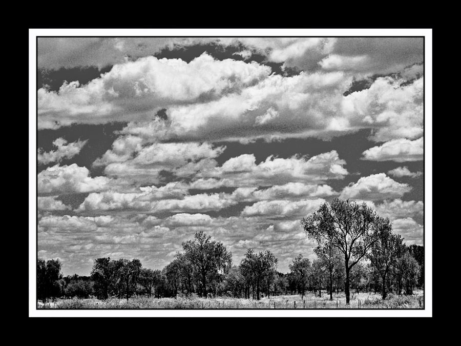 "Campo y cielo" de Solis Alba Iris