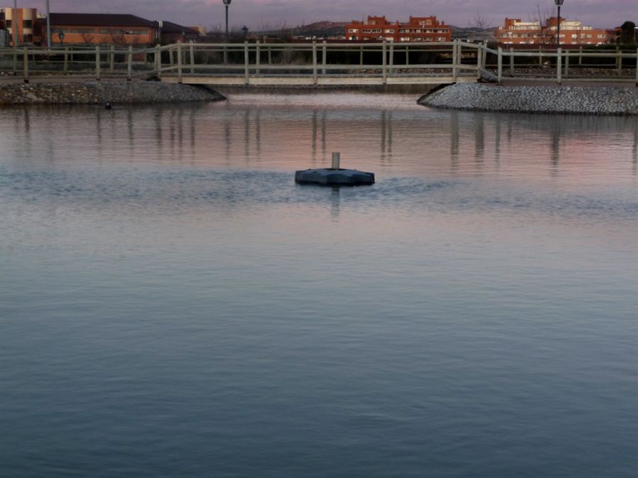 "el lago" de Elvira Dcm