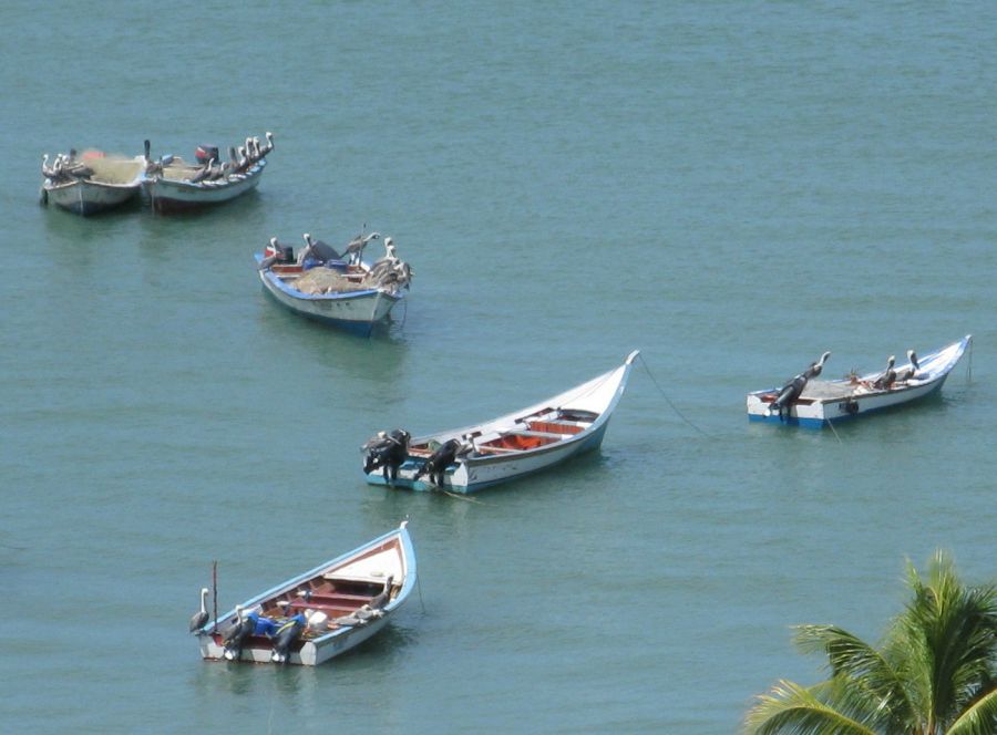 "listos para la pesca (botes, redes y pelcanos)" de Eduardo Dutto