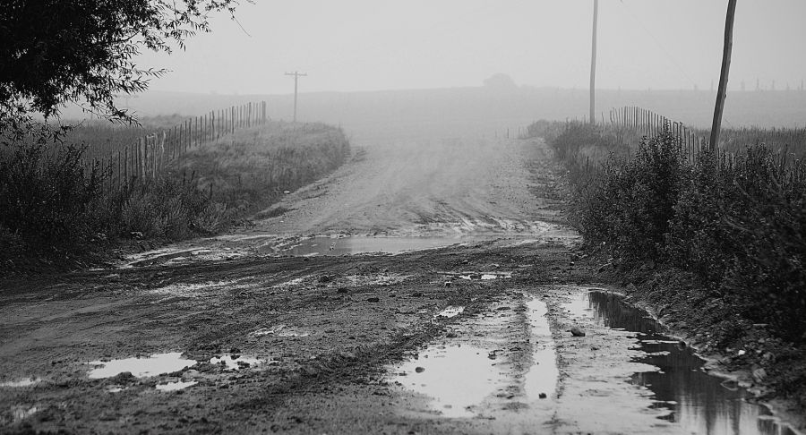 "Niebla  y gara enen el camino" de Solis Alba Iris