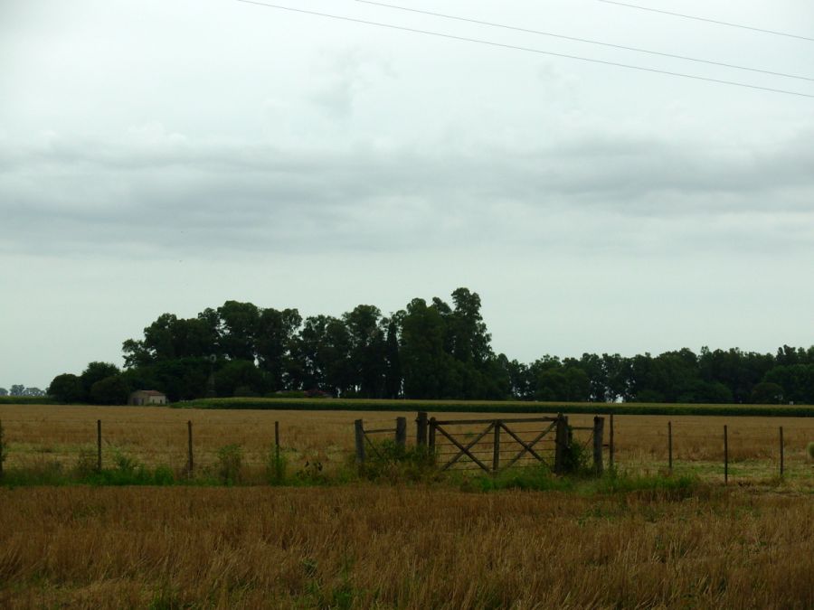 "Campo" de Jorge Berterretch