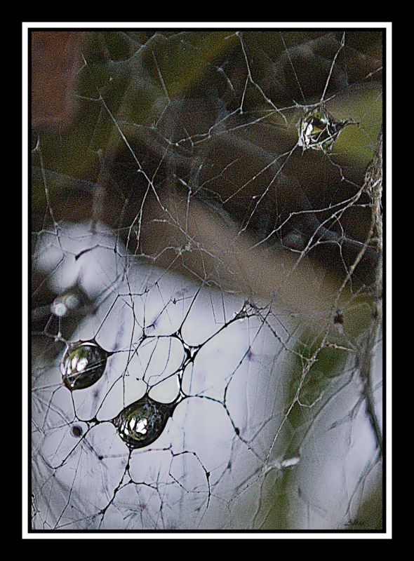 "Diamantes atrapados" de Solis Alba Iris