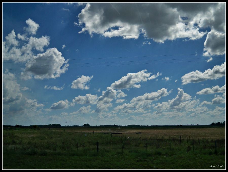 "Tarde campestre" de Ral Riba