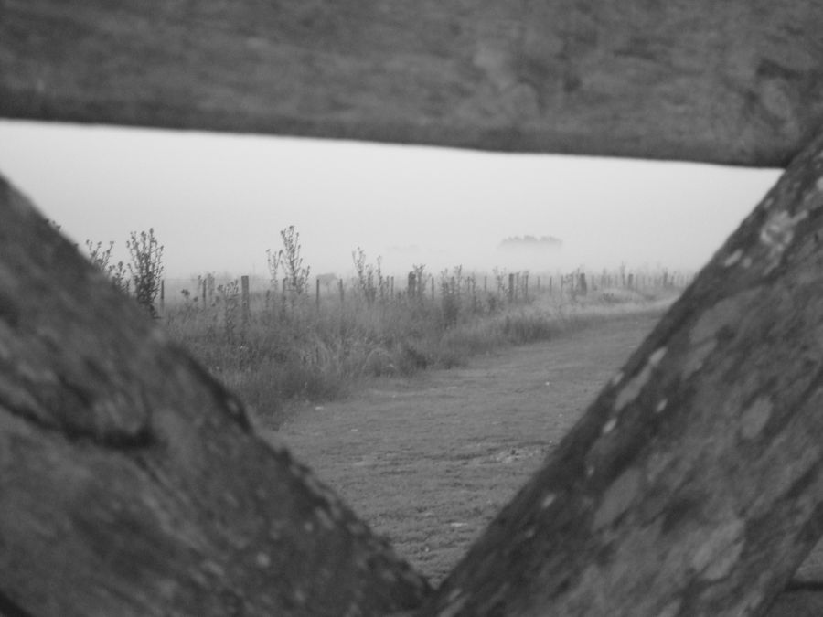 "niebla tras la tranquera" de Carlos Goverchesky