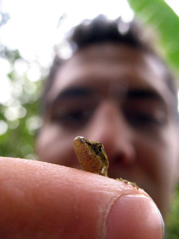 "FACE TO FACE" de Deivid Tellez