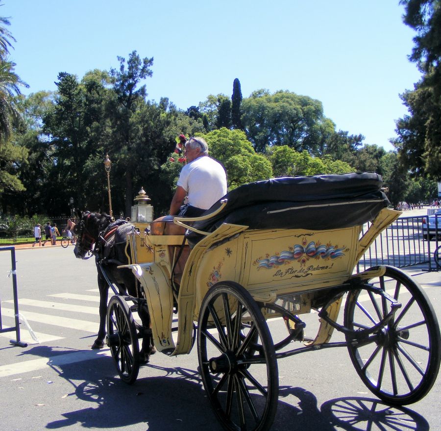 "taxi ecologico en la parada" de Rosie Kolacek