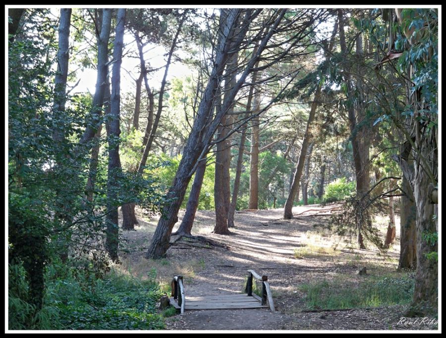 "El paraiso" de Ral Riba