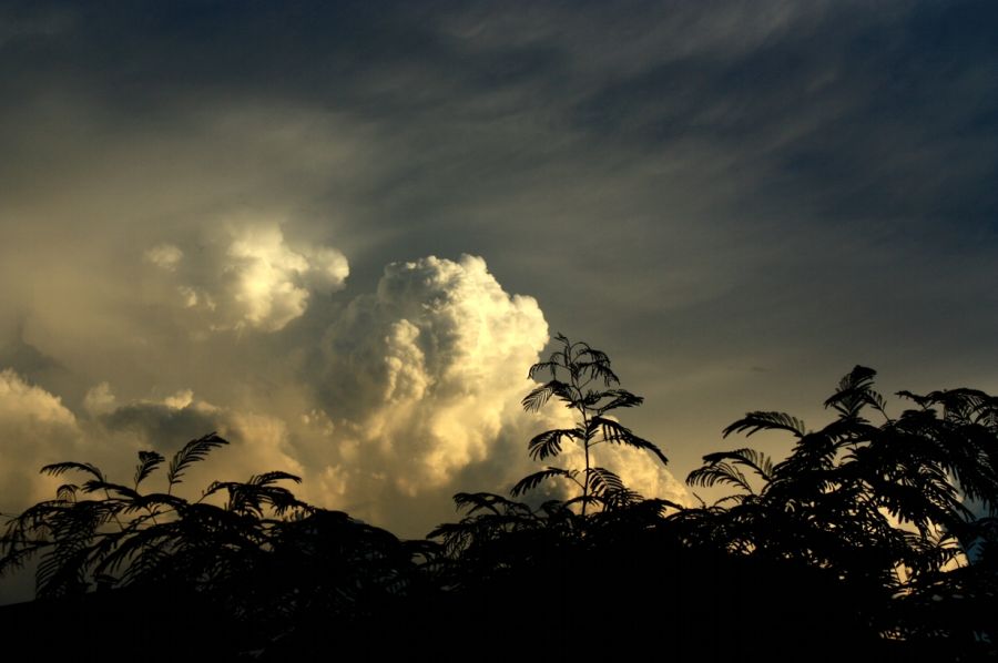 "Tormentica de verano" de Carmen Nievas