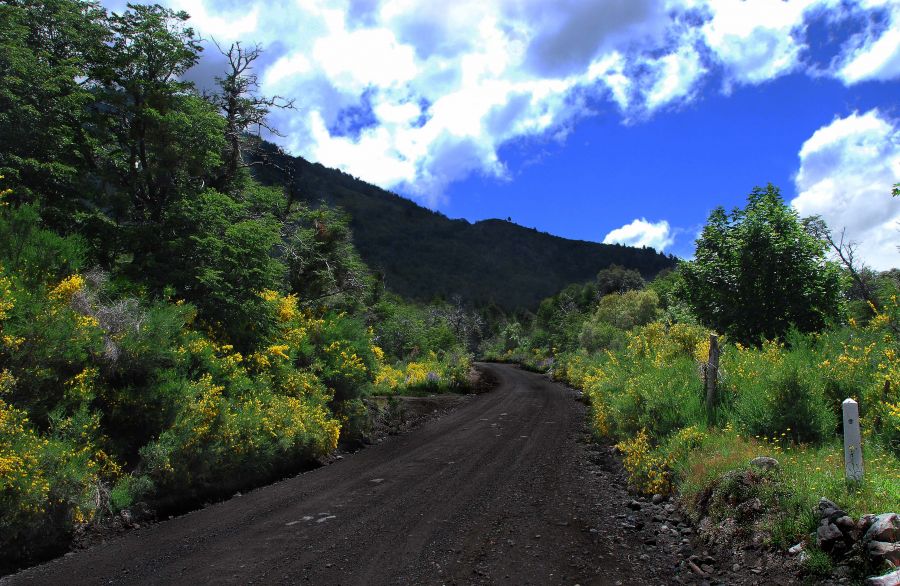 "`Camino al Meliquina`" de Jorge A. Cceres