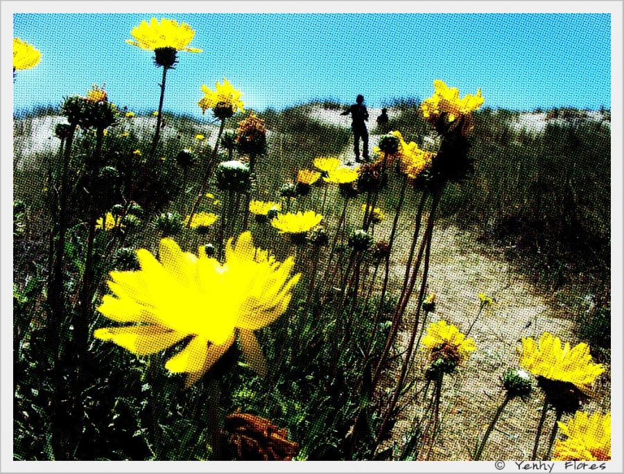 "Fue una linda primavera..." de Yenhy Flores