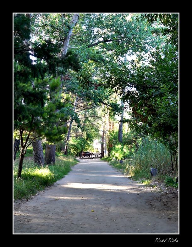 "camino cerrado" de Ral Riba