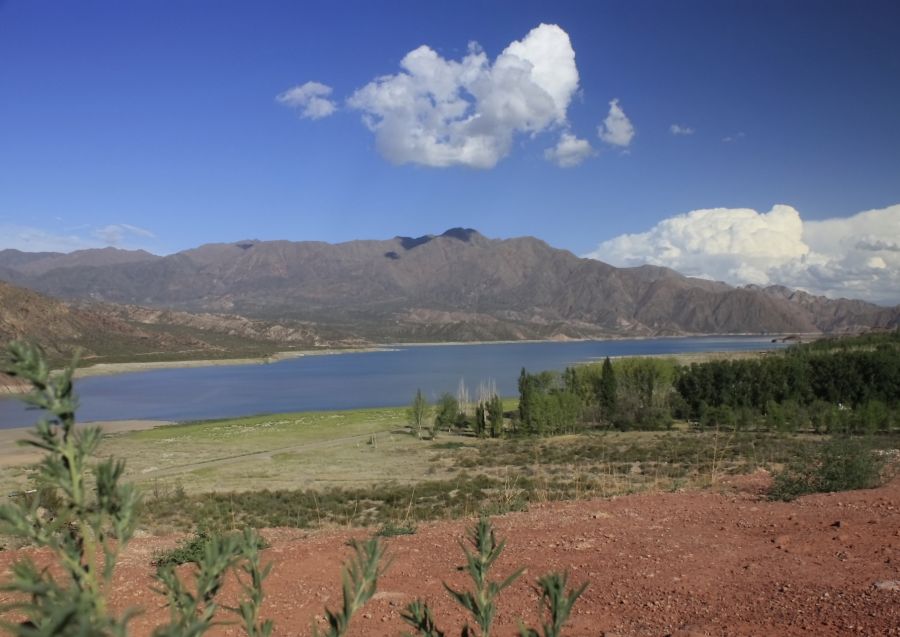 "`Potrerillos`" de Ale Belon