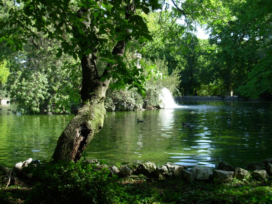 "El Capricho (Madrid)" de Juan Carlos Calvo