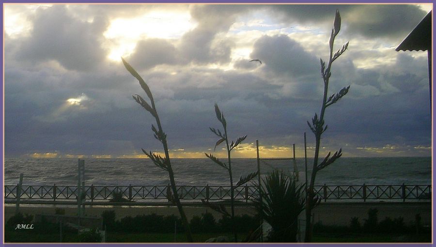 "Frente al mar." de Ana Llaneras.