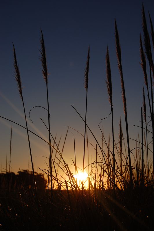 "Rayando el Sol" de Maria Jose Esmerode