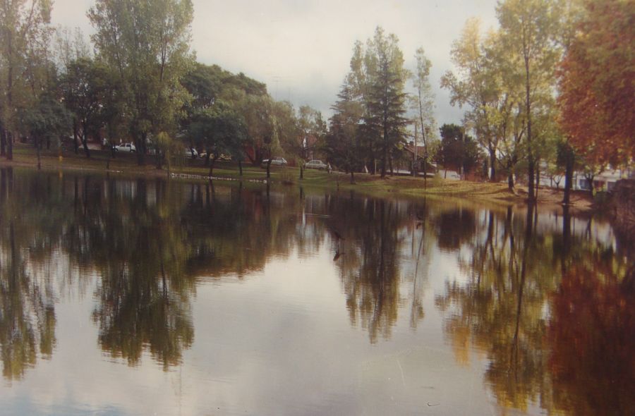 "reflejos" de Rosa Andrada