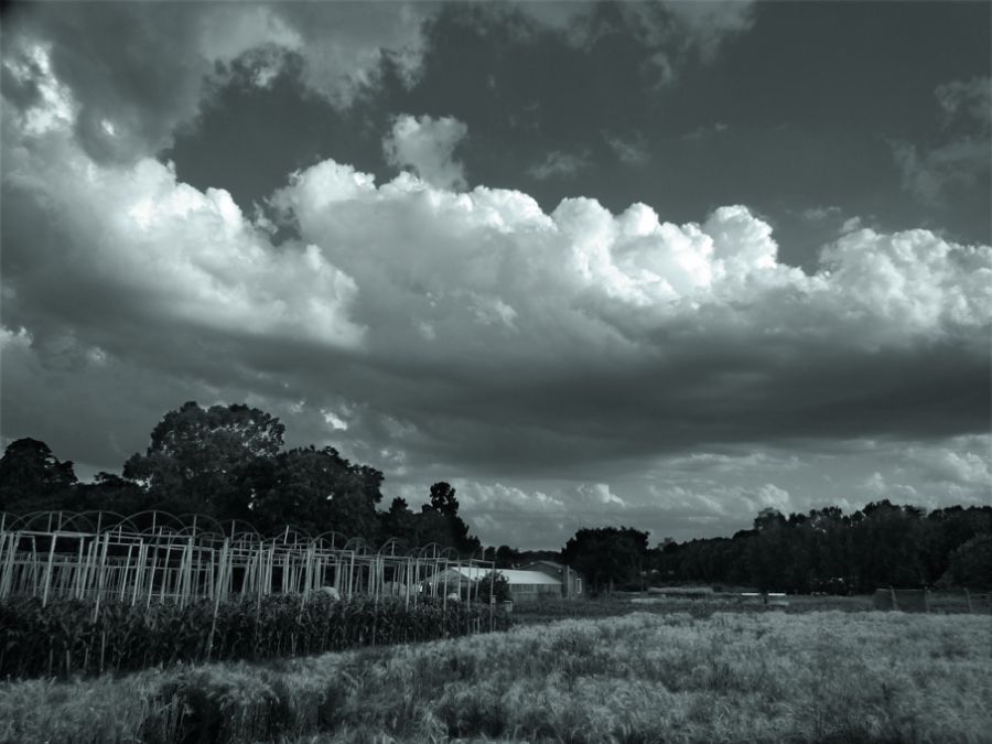 "Cielo y Nubes" de Ricardo S. Spinetto