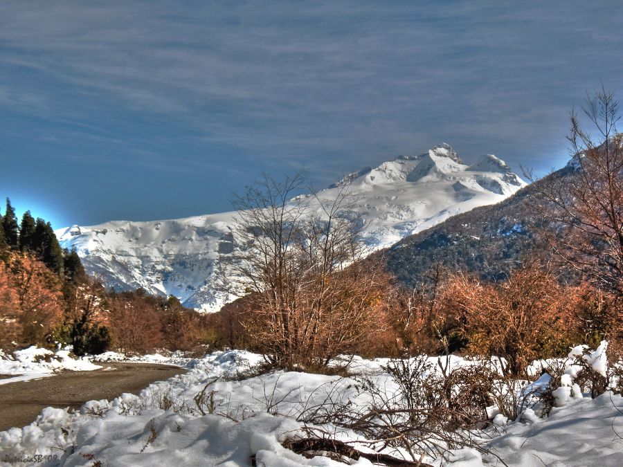 "Cerro Tronador" de Patricia Sgrignuoli