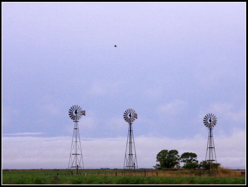 "Tres Molinos" de Eli - Elisabet Ferrari