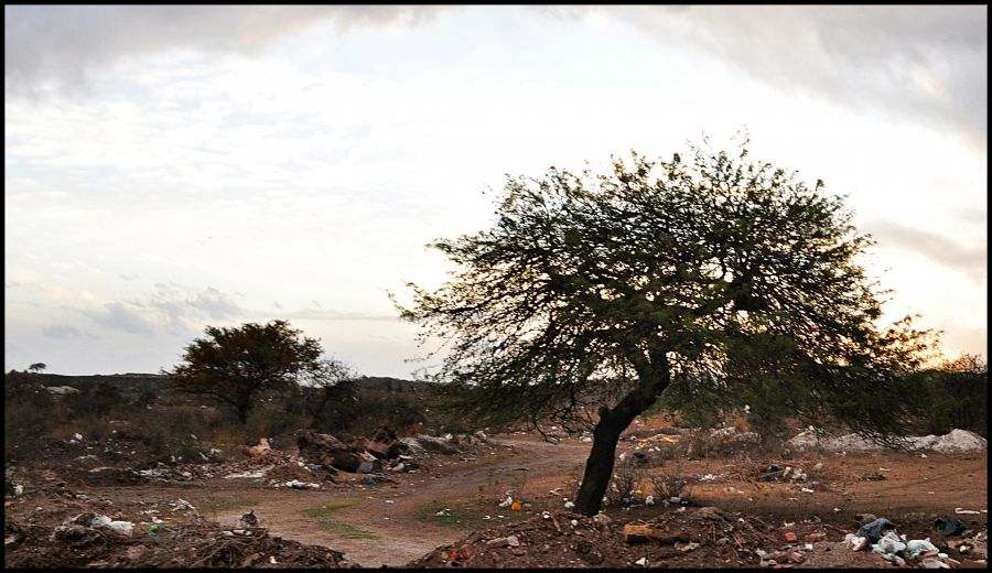 "Pedido: No me arruinen el paisaje" de Martha A. Moreschi