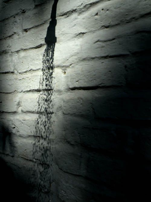 "la sombra de la ducha" de Ariel Dario Albamonte