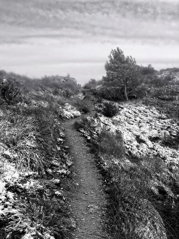 "Camino nevado" de Francisco Jos Cerd Ortiz