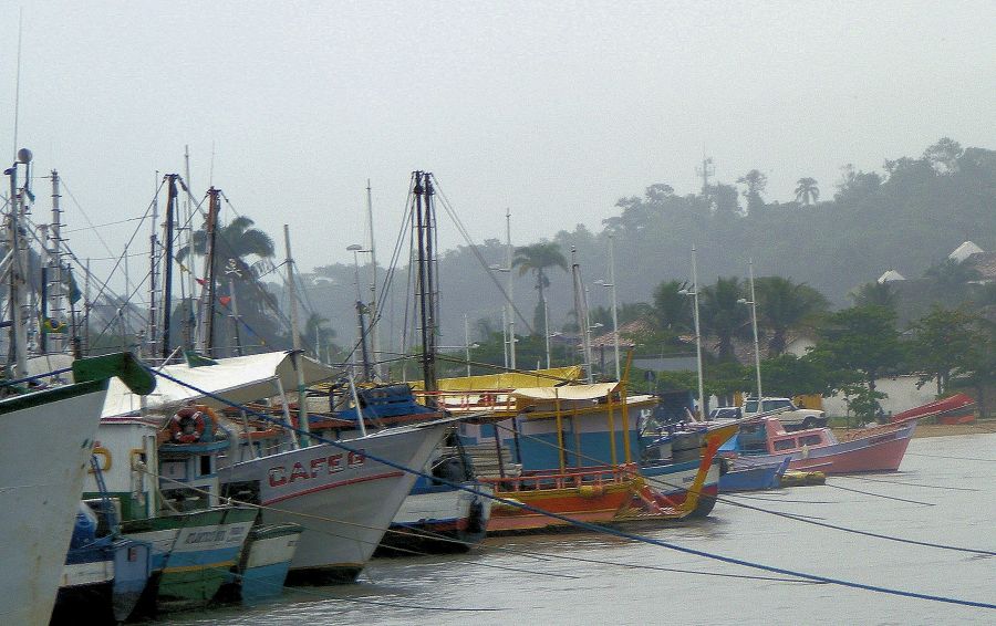 "anclados en la niebla" de Rosie Kolacek