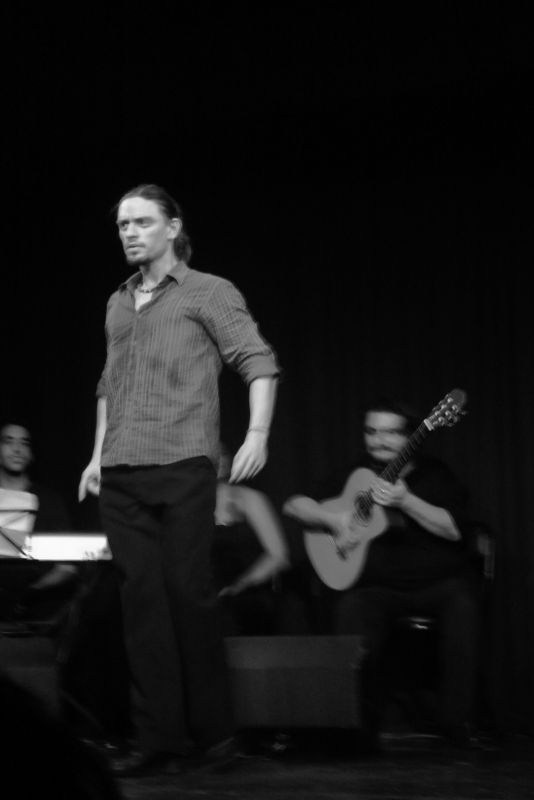"Flamenco" de Sandra Papadpulo