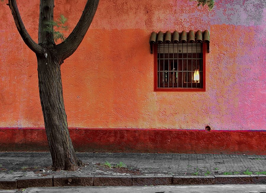 "Una luz en la ventana" de Arturo Rey