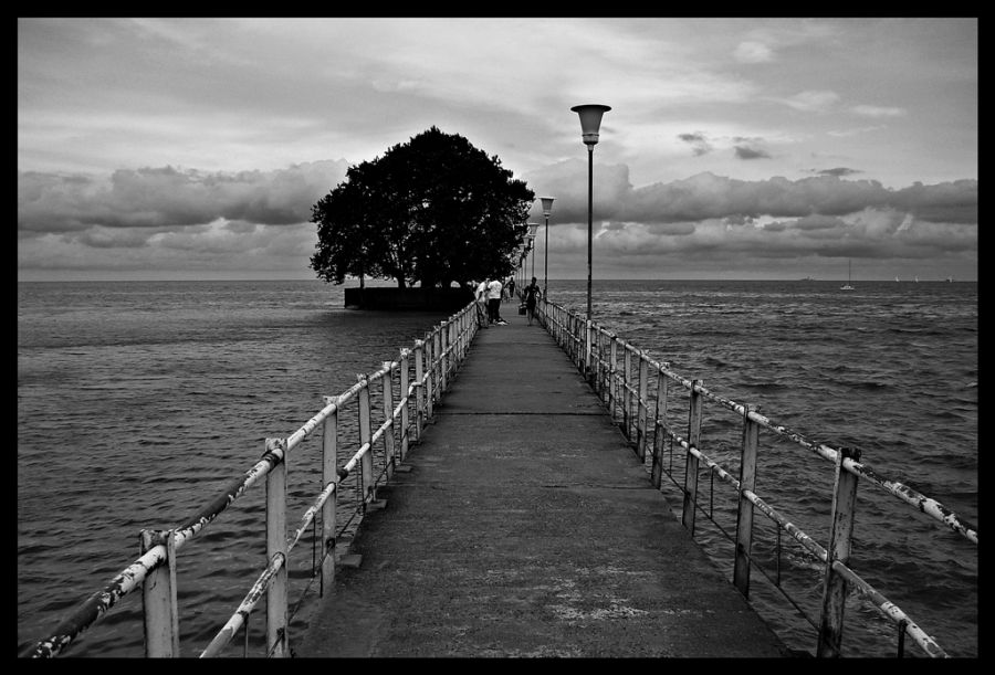 "El Muelle" de Alberto Elizalde