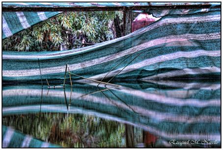 "lneas reflejadas" de Ezequiel M. Nasello