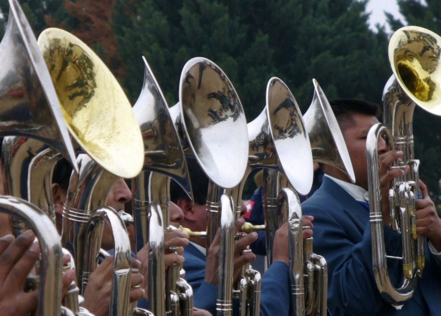 "la banda" de Claudia Snitcofsky